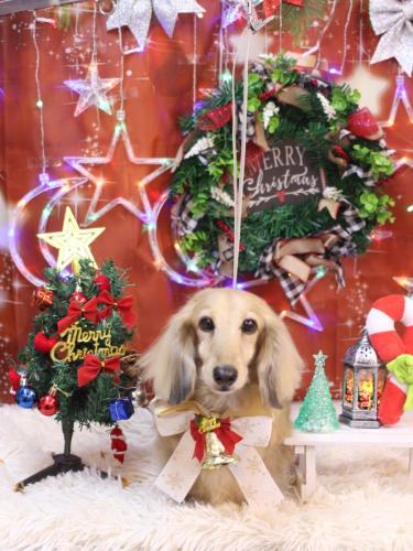 20231208そらくん